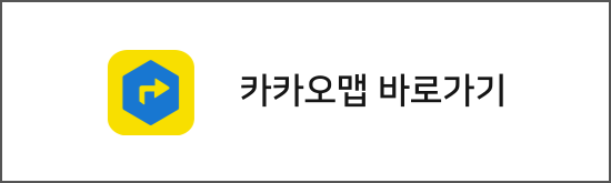 카카오 내비